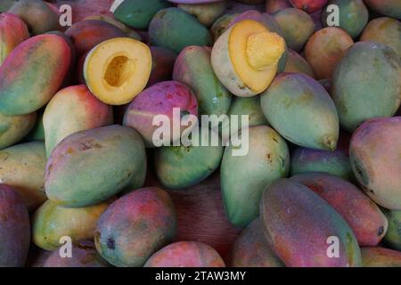 Nahaufnahme frischer Mangos zum Verkauf auf dem Markt auf der tropischen Insel La réunion frankreich Stockfoto