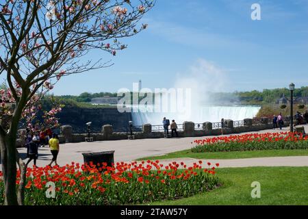 NIAGARA FALLS, ONTARIO, KANADA - 21. MAI 2018: Blick auf die Horseshoe Falls von der kandischen Seite der Fälle mit Frühlingsblumen im Vordergrund Stockfoto