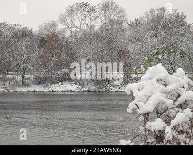 Eine Winterszene mit einem schneebedeckten Sträucher auf einem gefrorenen See in Leipzig Stockfoto