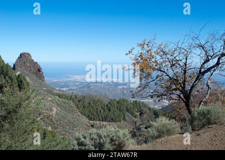 Vista de la Isla de Gran Canaria Stockfoto