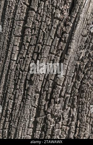 Die alte Holzstruktur mit natürlichen Mustern. Hintergrund und Textur für Design. Stockfoto