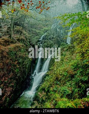 Stockghyll Wasserfall in der Nähe von Ambleside, Cumbria, England, Großbritannien Stockfoto