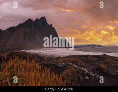 Sunrise Stokksnes Cape Sea Beach und Vestrahorn Mountain, Island. Atemberaubende Naturkulisse, beliebtes Reiseziel. Herbstgras auf schwarzem Vulkan Stockfoto