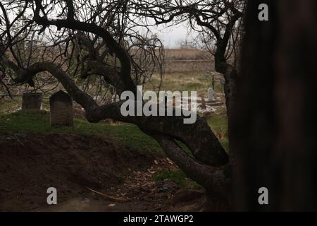 Friedhof in grüner Umgebung, mit einem arabischen Satz auf dem Grab | Foto eines islamischen Grabes. Stockfoto