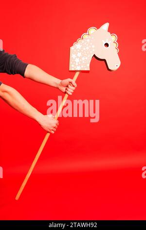 Stabpferd, Hobbypferd. Reitsport. Reitausrüstung. Sport. Banner Stockfoto