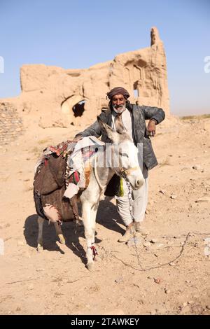 Ein alter Mann, der auf einem weißen Esel reitet, glücklich damit spielt und den Moment mit einem Lächeln genießt. Kabul, Afghanistan Stockfoto