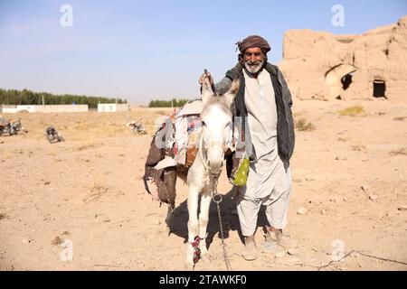 Ein alter Mann, der auf einem weißen Esel reitet, glücklich damit spielt und den Moment mit einem Lächeln genießt. Kabul, Afghanistan Stockfoto