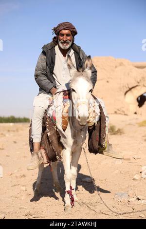 Ein alter Mann, der auf einem weißen Esel reitet, glücklich damit spielt und den Moment mit einem Lächeln genießt. Kabul, Afghanistan Stockfoto