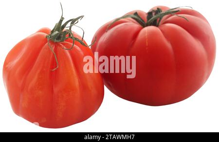 Einzigartige Art frische organische Tomaten isoliert Stockfoto