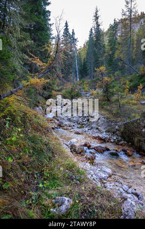 Gebirgsbach mit Felsen in einem Wald Stockfoto