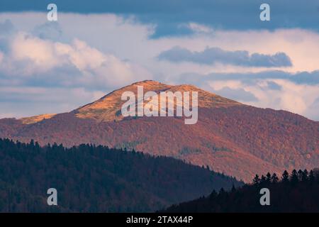 Blick auf den Smerek Gipfel in den Bieszczady Bergen. Ostkarpaten, Polen. Stockfoto