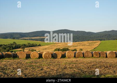 Runde Heuballen auf dem Feld nach der Ernte in den Bieszczady Mountains. Ostkarpaten, Polen, Europa. Stockfoto