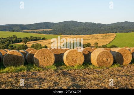 Runde Heuballen auf dem Feld nach der Ernte in den Bieszczady Mountains. Ostkarpaten, Polen, Europa. Stockfoto