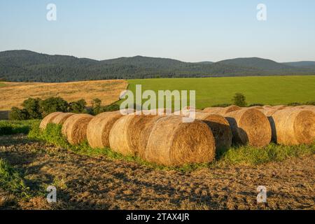 Runde Heuballen auf dem Feld nach der Ernte in den Bieszczady Mountains. Ostkarpaten, Polen, Europa. Stockfoto