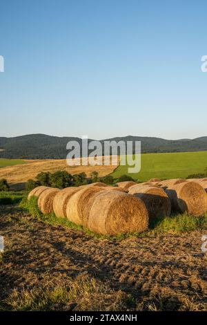 Runde Heuballen auf dem Feld nach der Ernte in den Bieszczady Mountains. Ostkarpaten, Polen, Europa. Stockfoto