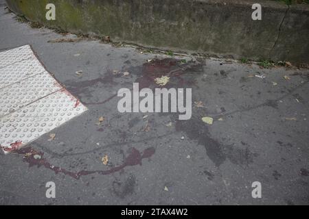 © PHOTOPQR/LE PARISIEN/Philippe de Poulpiquet ; Saint-Denis ; 03/12/2023 ; Paris (75), le 3 décembre 2023. Sur le lieu de l'attentat, sur le pont de Bir-Hakeim, au lendemain de l'attaque au couteau et au marteau perpétrée le 2 décembre 2023 à Paris. Le suspect, Armand Rajabpour-Miyandoab, un Francais fiché S, né de Parents iraniens en 1997 à Neuilly-sur-seine, a été arrêté après les faits. Les victimes sont un homme ayant la double nationalité allemande et philippine, tué à Coups de Couteau et deux autres Passants agressés à Coups de marteau, don un touriste anglais blessé au crâne. -- Dez Stockfoto