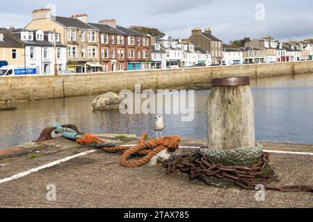 Millport Harbour, Great Cumbrae, Schottland, Großbritannien Stockfoto