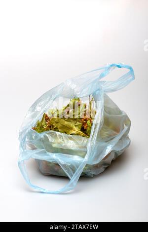Getrocknete Lindenblätter und -Blüten in einem Paket Stockfoto