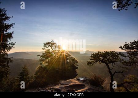 Landschaft aufgenommen bei Sonnenaufgang, kalte Winterlandschaft von einem Sandsteinfelsen mitten im Wald. Die Natur pur am Morgen vom Aussichtspunkt aus, die S Stockfoto