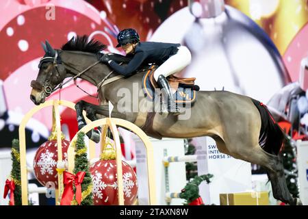 Stockholm, Stockholm, Schweden. Dezember 2023. Während des International Horse Show International Jumping Competition von 1,55 m in der Friends Arena am 3. Dezember in Stockholm (Foto: © Johan Dali/ZUMA Press Wire) NUR REDAKTIONELLE VERWENDUNG! Nicht für kommerzielle ZWECKE! Stockfoto