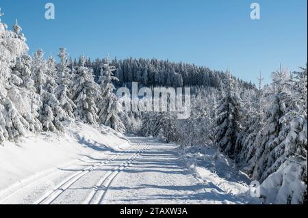 Der Schnee bedeckte den Lotharpfad im Nationalpark Schwarzwald. Baiersbronn Baden-Württemberg Deutschland *** der schneebedeckte Lothar Trail im Nationalpark Schwarzwald Baiersbronn Baden-Württemberg Deutschland Credit: Imago/Alamy Live News Stockfoto