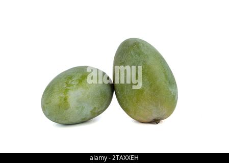 Zwei ganze Mangobrüchte auf weißem Hintergrund. Kopierbereich. Stockfoto