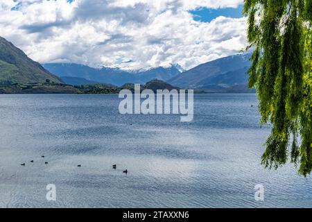 Blick auf den Lake Wanaka von Wanaka und von Aussichtsbereichen. Stockfoto