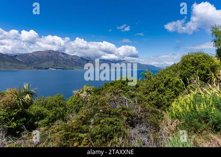 Blick auf den Lake Wanaka von Wanaka und von Aussichtsbereichen. Stockfoto