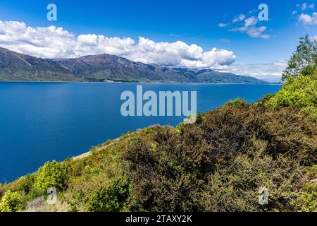 Blick auf den Lake Wanaka von Wanaka und von Aussichtsbereichen. Stockfoto