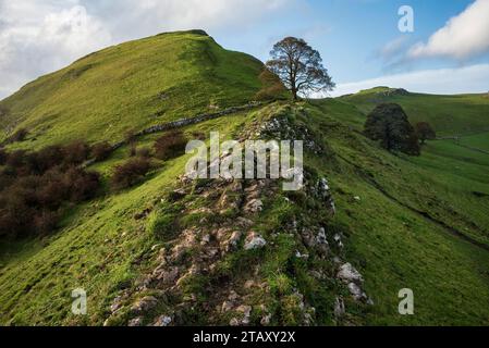 Wunderschönes Landschaftsbild von Chrome Hill im Herbst im Peak District National Park in englischer Landschaft Stockfoto