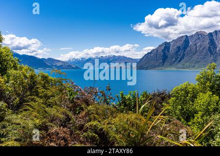 Blick auf den Lake Wanaka von Wanaka und von Aussichtsbereichen. Stockfoto