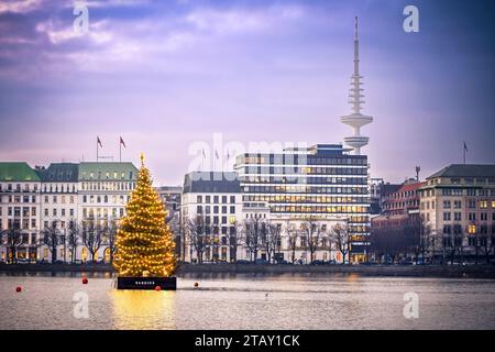 Alstertanne zur Weihnachtszeit auf der Binnenalster in Hamburg, Deutschland, Europa *** Alstertanne zur Weihnachtszeit auf der Binnenalster in Hamburg, Deutschland, Europa Credit: Imago/Alamy Live News Stockfoto