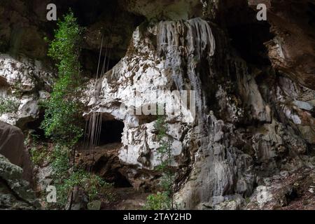 Blick auf eine Höhle im Nationalpark Los Haitises. Samana Golf, Dominikanische Republik Stockfoto