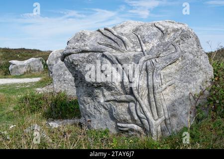 Pflanzenranken-Skulptur, die im Oktober 2023 in Portland Stone im Tout Quarry Sculpture Park auf der Isle of Portland, Dorset, Großbritannien, gemeißelt wurde. Stockfoto