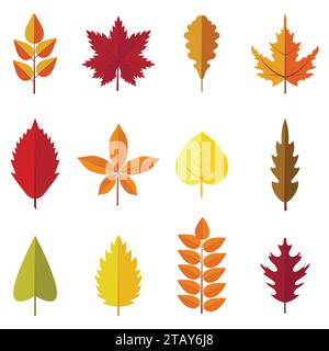 Set aus bunten Herbstblättern isoliert auf weißem Hintergrund. Grüne, rote und orangene Herbstblätter-Kollektion im flachen Stil. Vektorabbildung Stock Vektor
