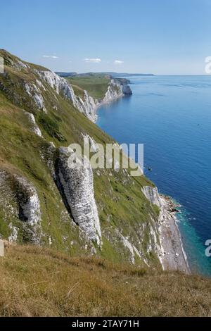 Blick nach Osten von White Nothe Landzunge entlang Kreidefelsen in Richtung bat’s Head, in der Nähe von Lulworth, Jurassic Coast, Dorset, Großbritannien, August 2023. Stockfoto