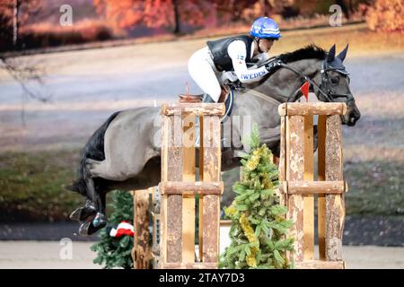 Stockholm, Stockholm, Schweden. Dezember 2023. Während der Sweden International Horse Show Agria Top 10 Indoor Event in der Friends Arena am 3. Dezember in Stockholm (Foto: © Johan Dali/ZUMA Press Wire) NUR REDAKTIONELLE VERWENDUNG! Nicht für kommerzielle ZWECKE! Stockfoto