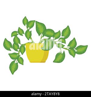 Syngoniumhauspflanze im Blumentopf. Dekorative Zimmerpflanze. Büro- und Hauswerk. Vektorabbildung Stock Vektor