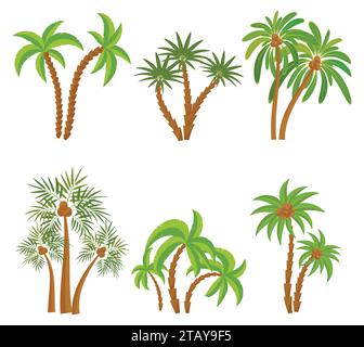 Verschiedene Palmen auf weißem Hintergrund. Vektorillustration tropischer Pflanzen. Regenwald-Dschungel-Pflanzen. Sommerstrand-Resort-Dekoration. Stock Vektor
