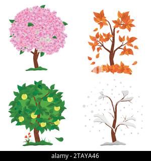 Baum in vier Jahreszeiten - Frühling, Sommer, Herbst, Winter. Sammlung von Apfelbäumen isoliert auf weißem Hintergrund. Bäume mit grünen und orangen Blättern Stock Vektor