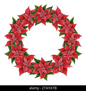 Weihnachtskranz mit Weihnachtsstern Blumen, Hand gezeichnete Aquarellillustration isoliert auf weiß. Runder Rahmen mit Blumenillustration für Weihnachten Stockfoto