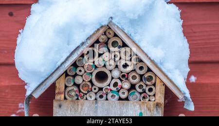 Bienenhotel mit versiegelten Nestern der Leaf Cutter Biene und der mit Schnee bedeckten mauerbiene. Stockfoto