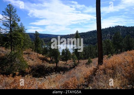 Das ist von einer Reihe von Fotos, die ich auf dem Grindstone Lake Loop Trail in der Nähe von Ruidoso New Mexico gemacht habe. Dieser Ort ist Teil des Lincoln National Forest. Stockfoto