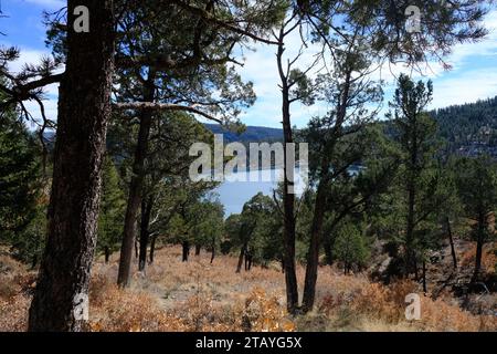 Das ist von einer Reihe von Fotos, die ich auf dem Grindstone Lake Loop Trail in der Nähe von Ruidoso New Mexico gemacht habe. Dieser Ort ist Teil des Lincoln National Forest. Stockfoto