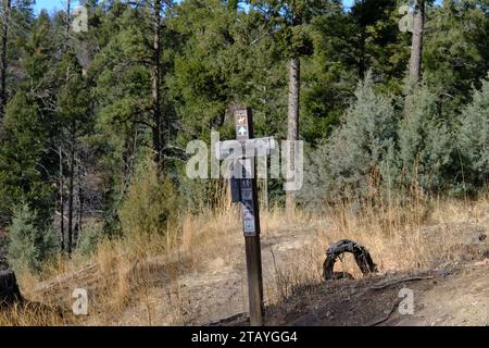 Das ist von einer Reihe von Fotos, die ich auf dem Grindstone Lake Loop Trail in der Nähe von Ruidoso New Mexico gemacht habe. Dieser Ort ist Teil des Lincoln National Forest. Stockfoto