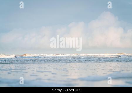 Beobachten Sie die weißen Wellen am Longsands Beach Tynemouth mit Surfern, die an einem eisigen Wintertag mit Schnee am Strand und hellblauem Himmel Wellen fangen. Stockfoto