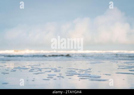 Beobachten Sie die weißen Wellen am Longsands Beach Tynemouth mit Surfern, die an einem eisigen Wintertag mit Schnee am Strand und hellblauem Himmel Wellen fangen. Stockfoto