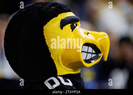 Indianapolis, Indiana, USA. Dezember 2023. Iowa Maskottchen während des NCAA-Fußballspiels zwischen den Michigan Wolverines und den Iowa Hawkeyes im Lucas Oil Stadium in Indianapolis, Indiana. John Mersits/CSM/Alamy Live News Stockfoto