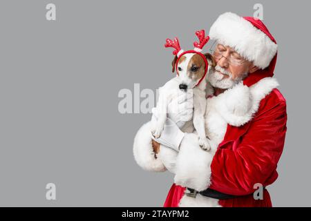 Weihnachtsmann mit süßem Jack Russell Terrier Hund in Rentierhörnern auf grauem Hintergrund Stockfoto