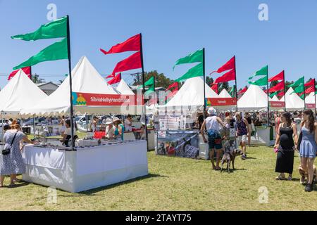 Weihnachtsmarkt im Freien mit Ständen und Fahnen, Narrabeen, Sydney, NSW, Australien 2023 Stockfoto